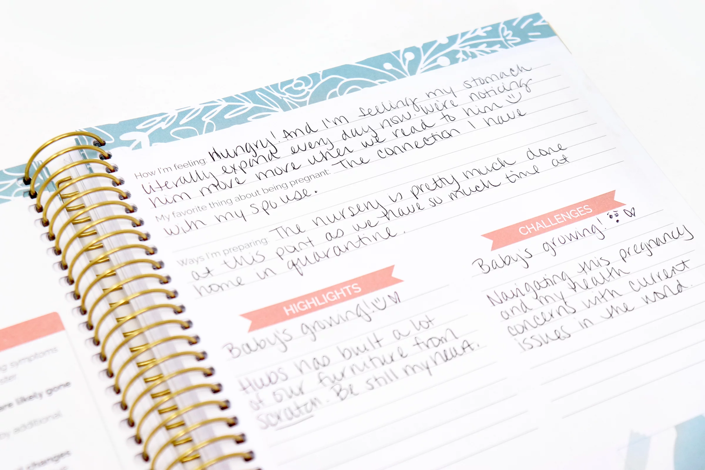 bloom daily planners Pregnancy & Baby's First Year Planner & Calendar, 9