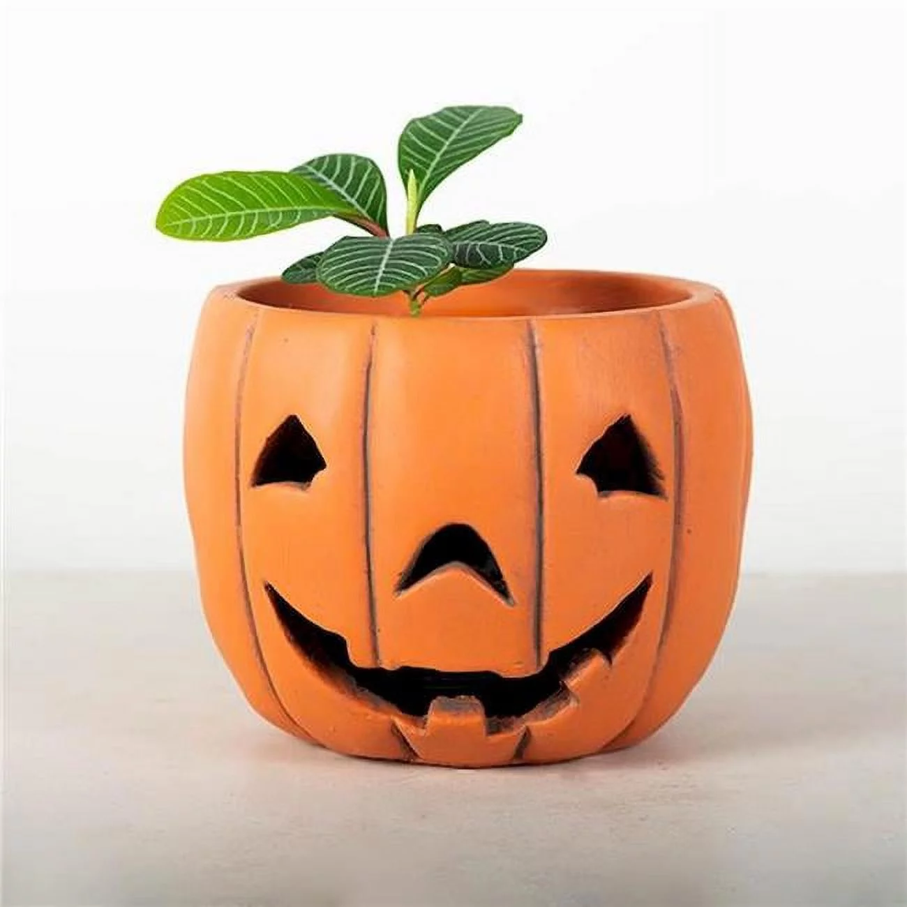 Pumpkin Face Planter