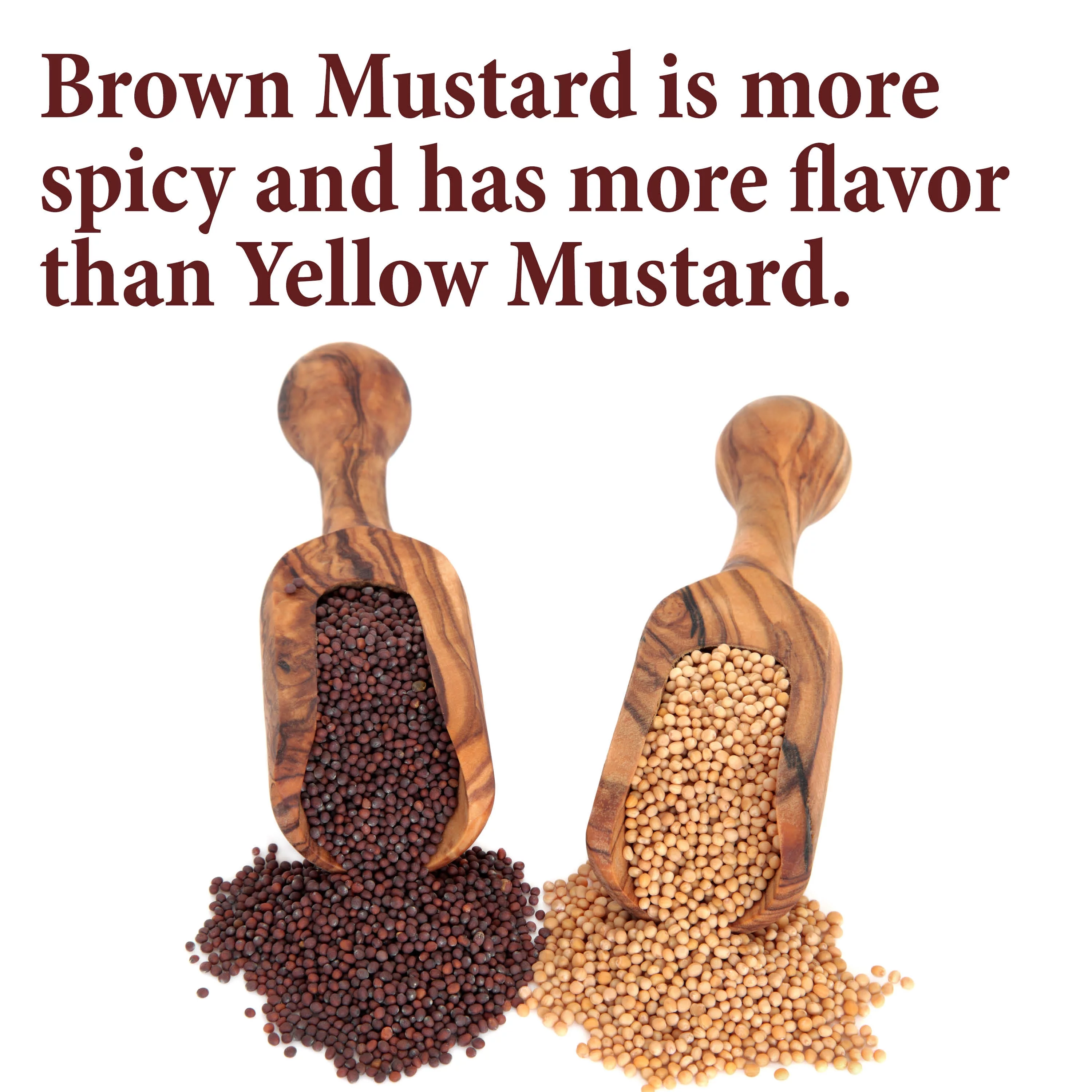 The Spice Way Brown Mustard Seeds - Whole Seeds - 8 oz.