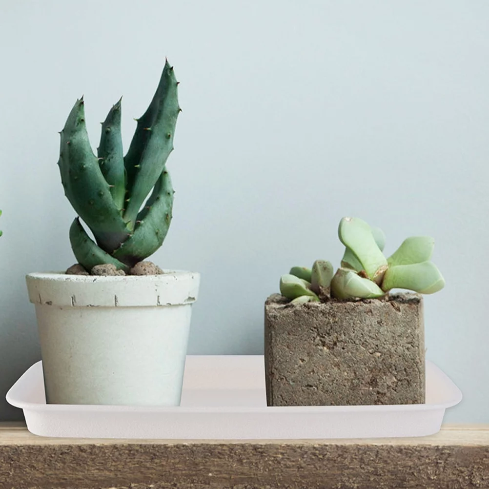 Flower Pot Tray 8 Pcs Plant Drainage Dishes Saucer Plastic Trays for Plants Succulents Planting White