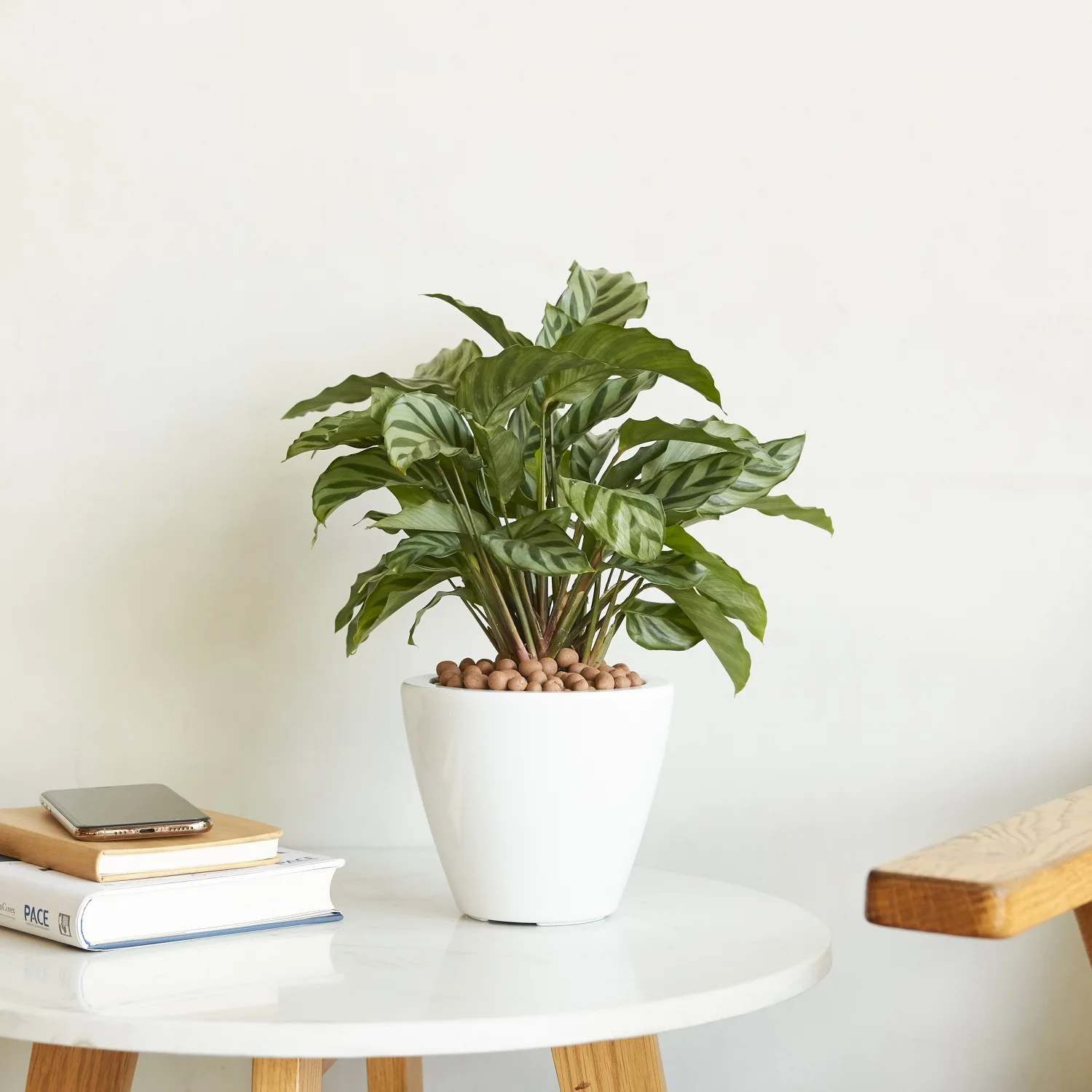 LEIYEHOOM 2-Pack Smart Self-watering Planter Pot for Indoor and Outdoor -  - Round Cone