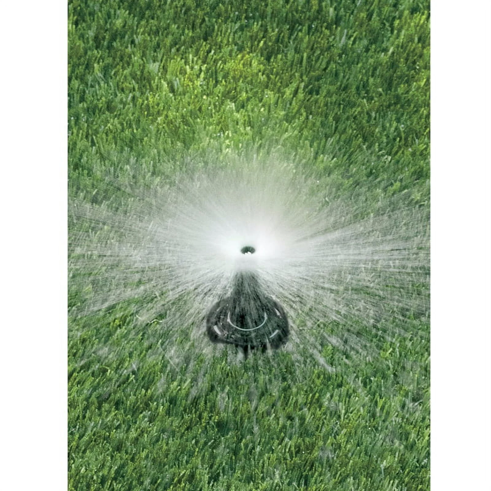 RAIN BIRD SP25F18 Spray Head for Shrubs, 2.6 to 3.7 gpm