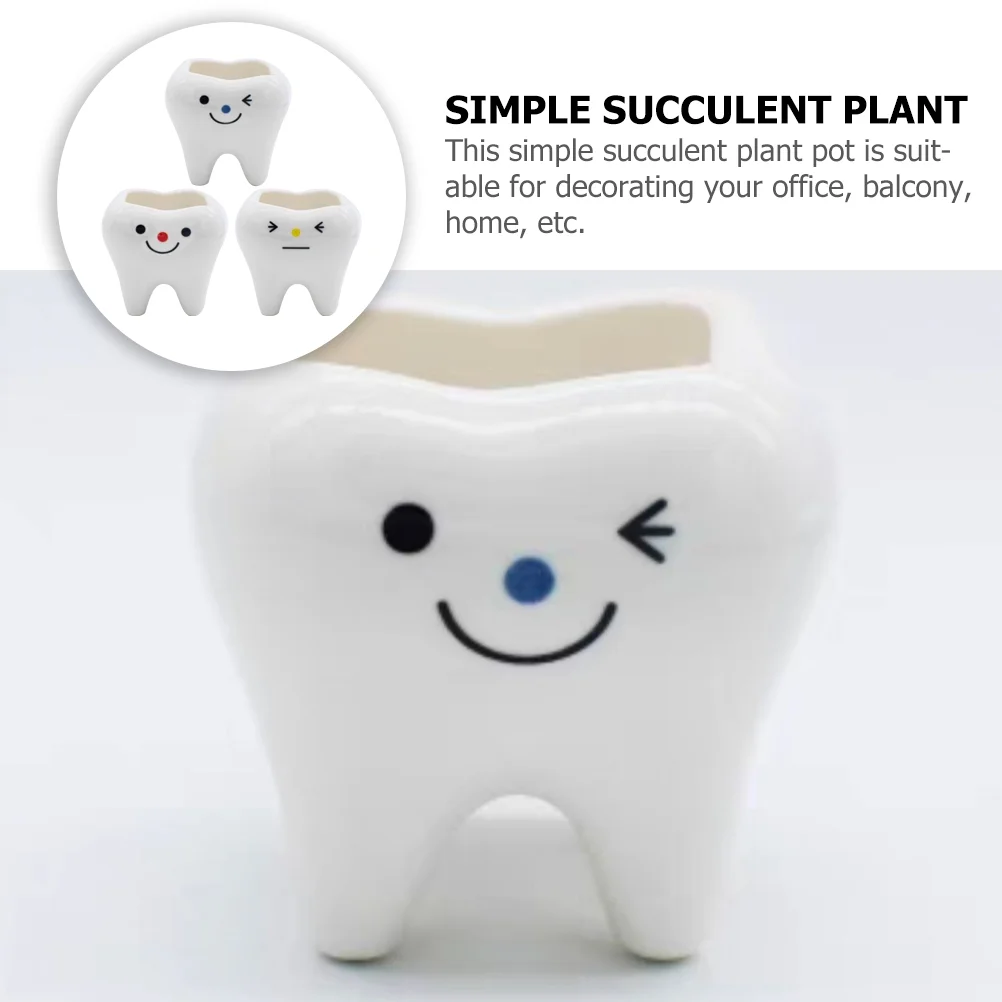 3pcs Teeth Shaped Plant Pots Small Ceramics Flowerpot Succulents Bonsai Planter Pots