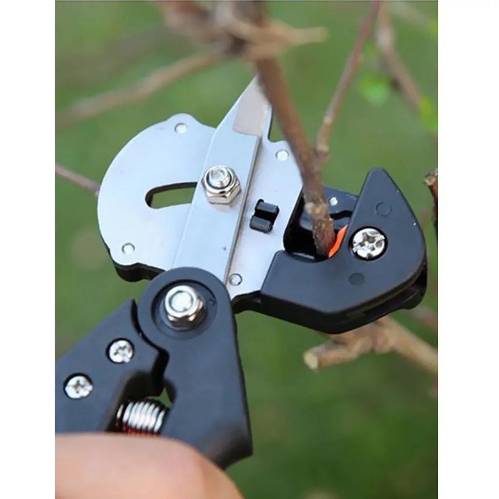 Professional Graft Cutting Tool Pruning Tree And Tools