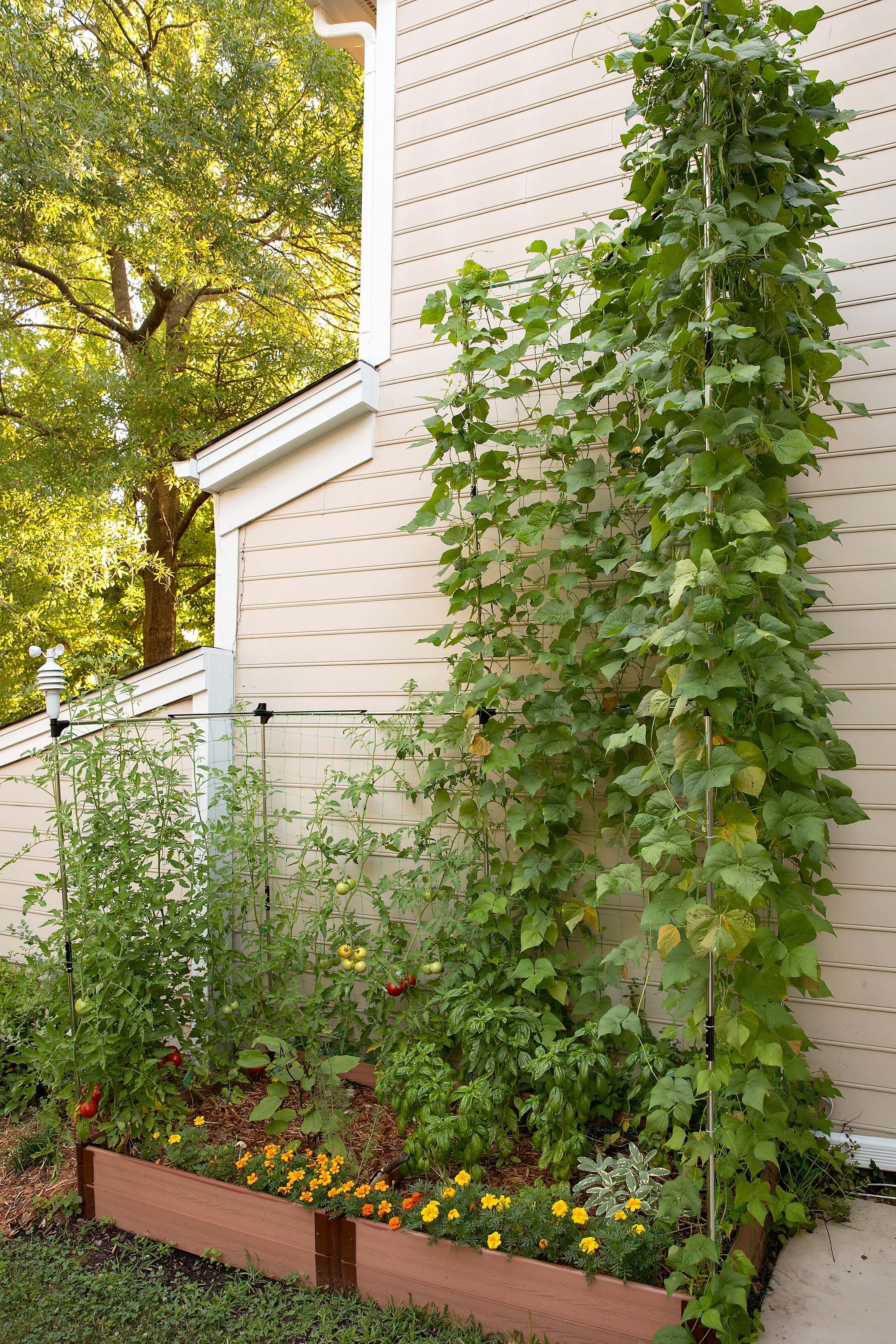 Frame It All Stack & Extend Veggie Wall