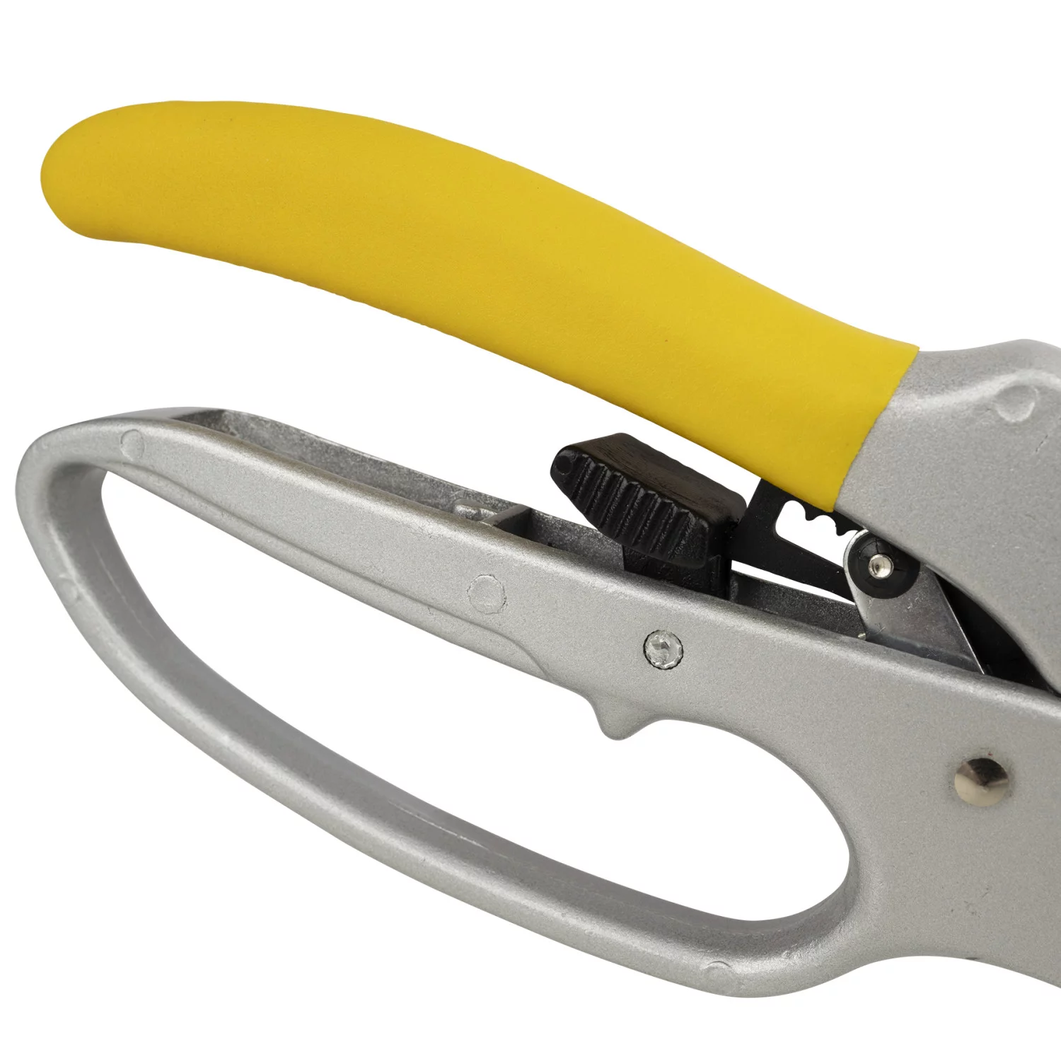 TR RATCHETING PRUNER