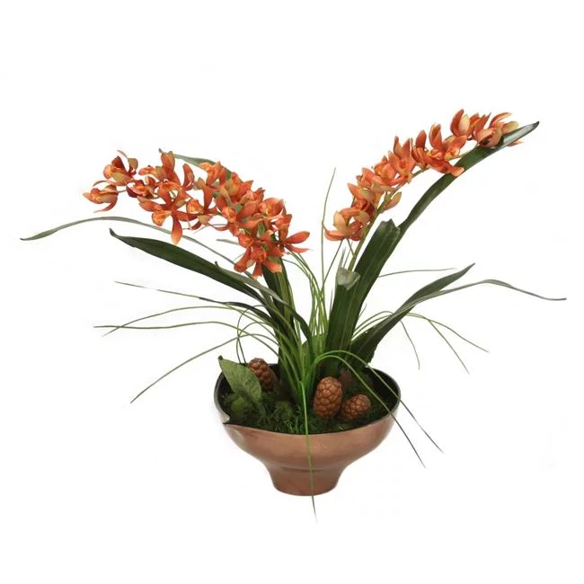 Unisex Rust Cymbidium Orchid in Gold & Black Bowl - Red