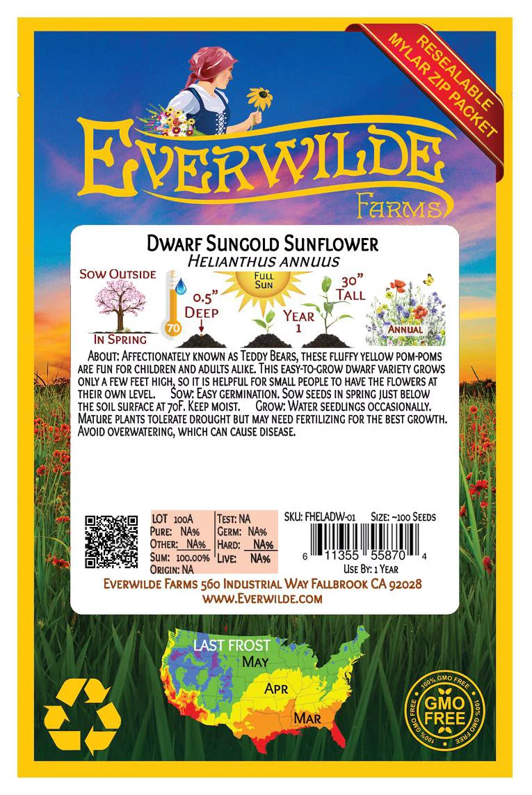 Everwilde Farms - 100 Dwarf Sungold Sunflower Garden Flower Seeds - Gold Vault Jumbo Bulk Seed Packet