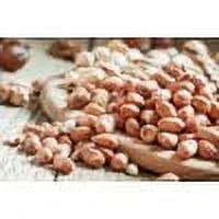 Bulk Hazelnuts With Skins 25 Pound Wholesale Box