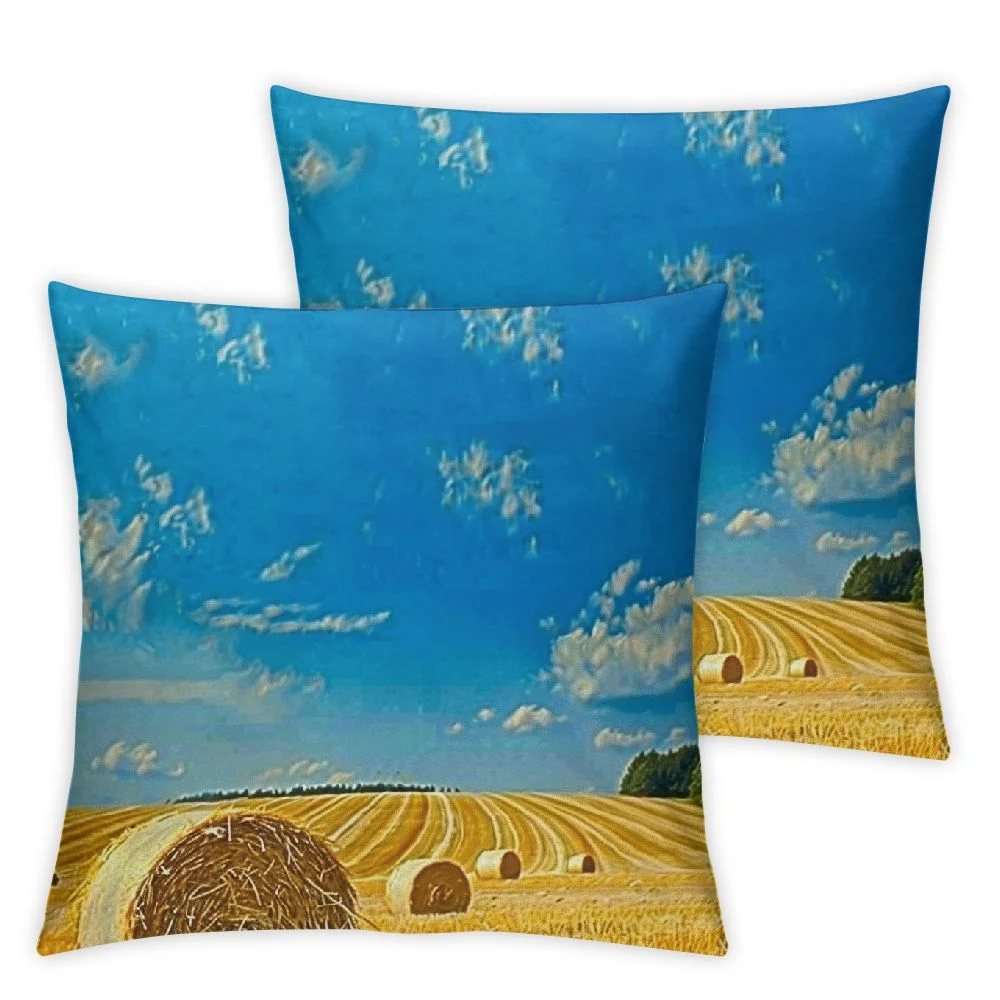 Ollo0ord Throw Pillow Cover Forest Blue Landscape Countryside Summer Hay Sun Mettmann Idyll Bales On Field Parks North Outdoor Comfortable Decorative Cushion Pillowcase for Chair Inch White
