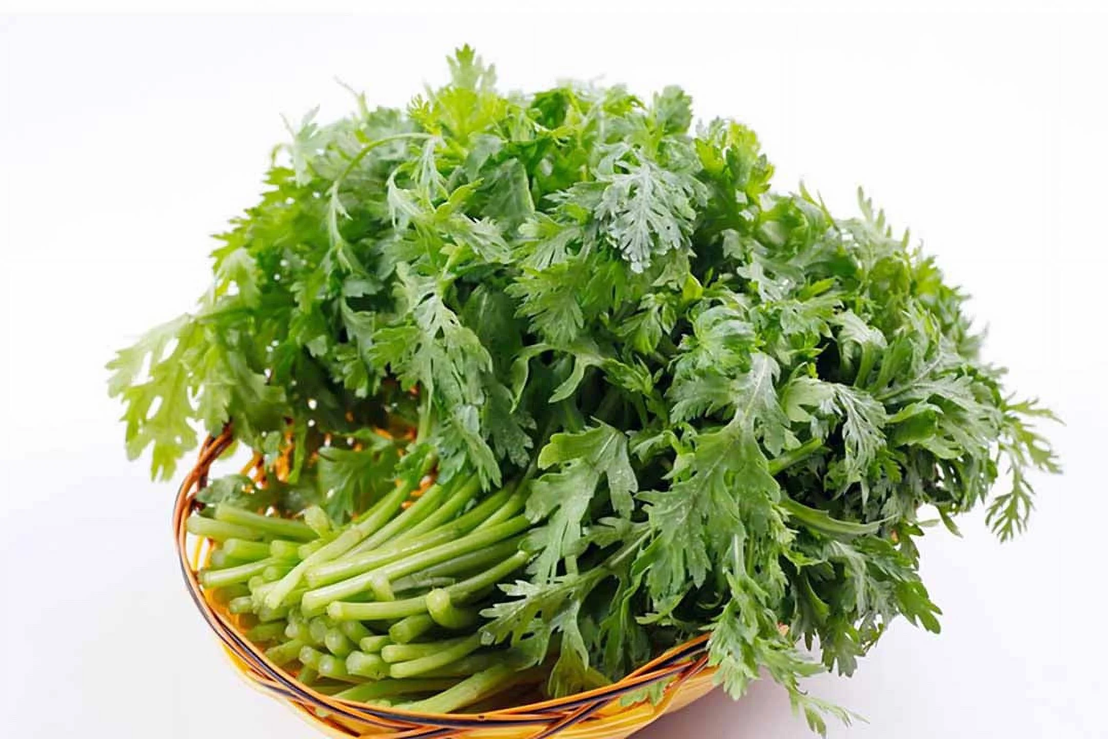 1000+ Chrysanthemum Seeds, Tần Ô, Cải Cúc, Tong Ho - [Mai's Family]