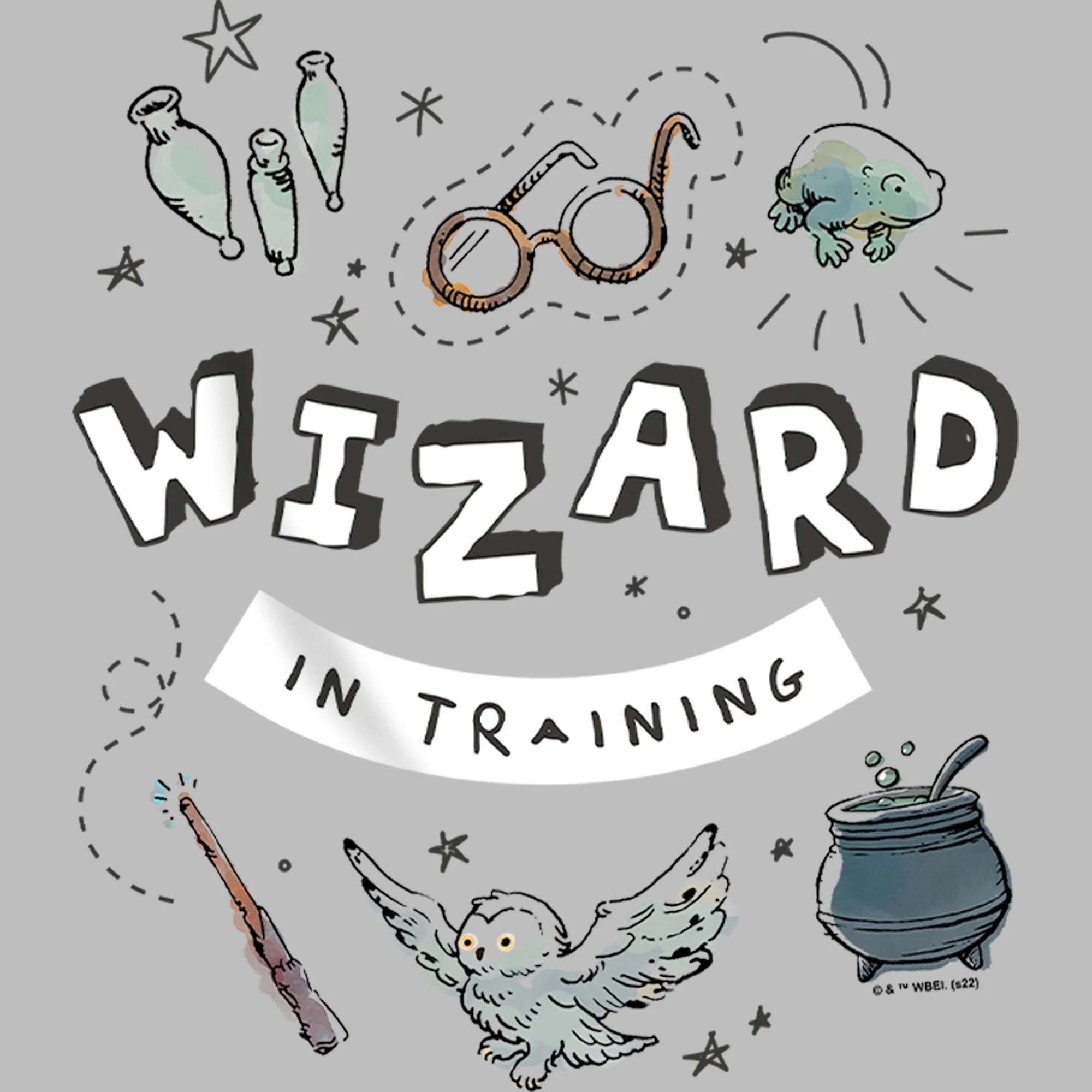 Boy's Harry Potter Wizard Training  Pull Over Hoodie Athletic Heather X Large