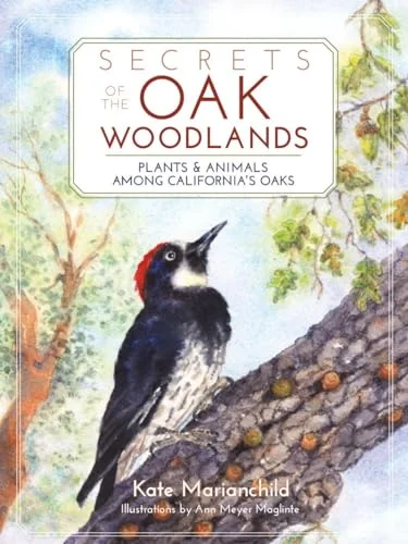 Pre-Owned: Secrets of the Oak Woodlands: Plants and Animals among California's Oaks (Paperback, 9781597142625, 159714262X)