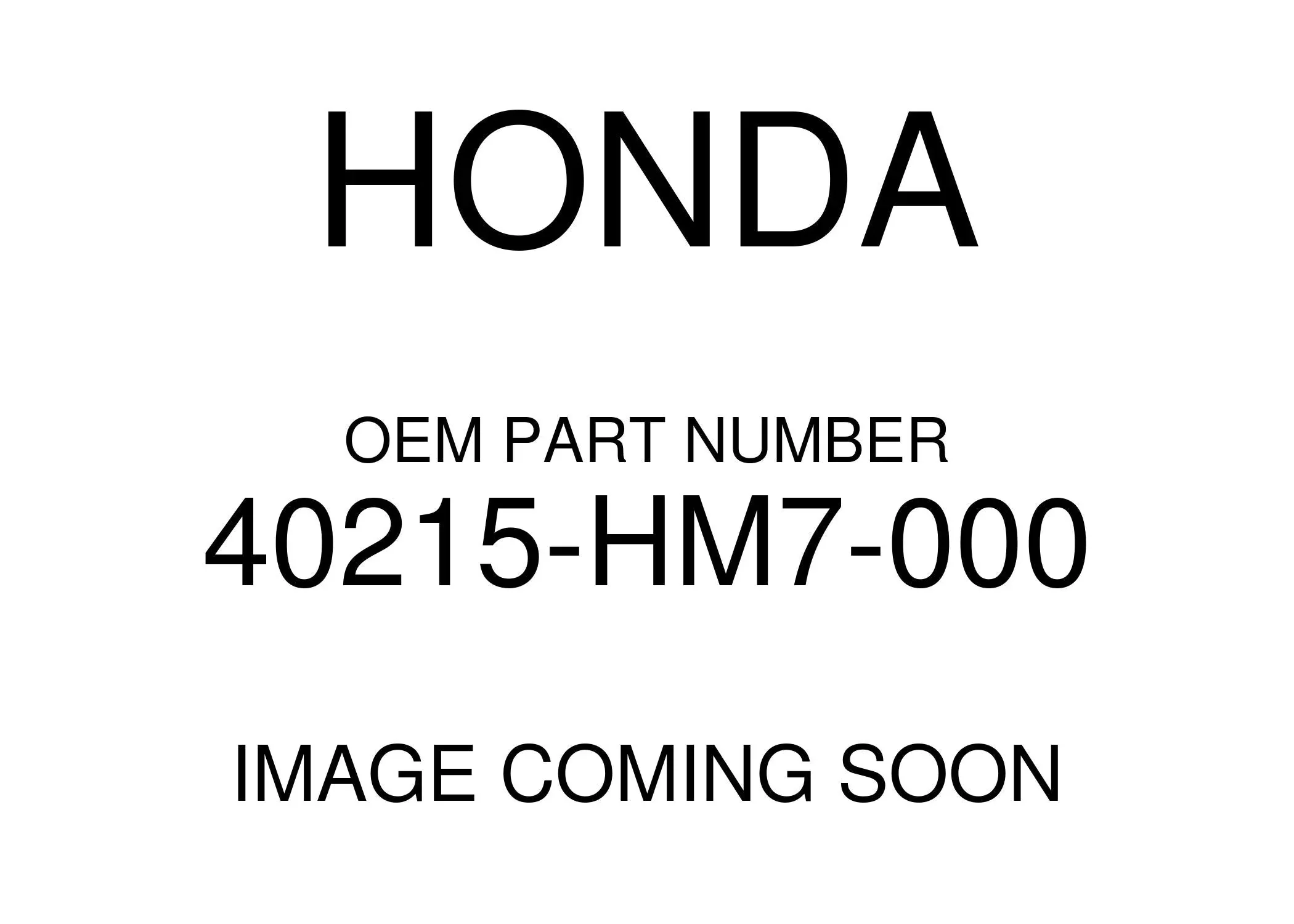 Honda 2008-2018 TRX Shaft Spring 40215-HM7-000 New OEM