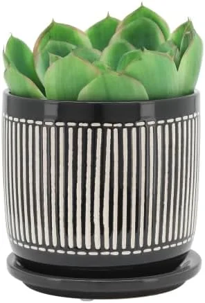 Ceramic A Flowerpot S/2 5/6