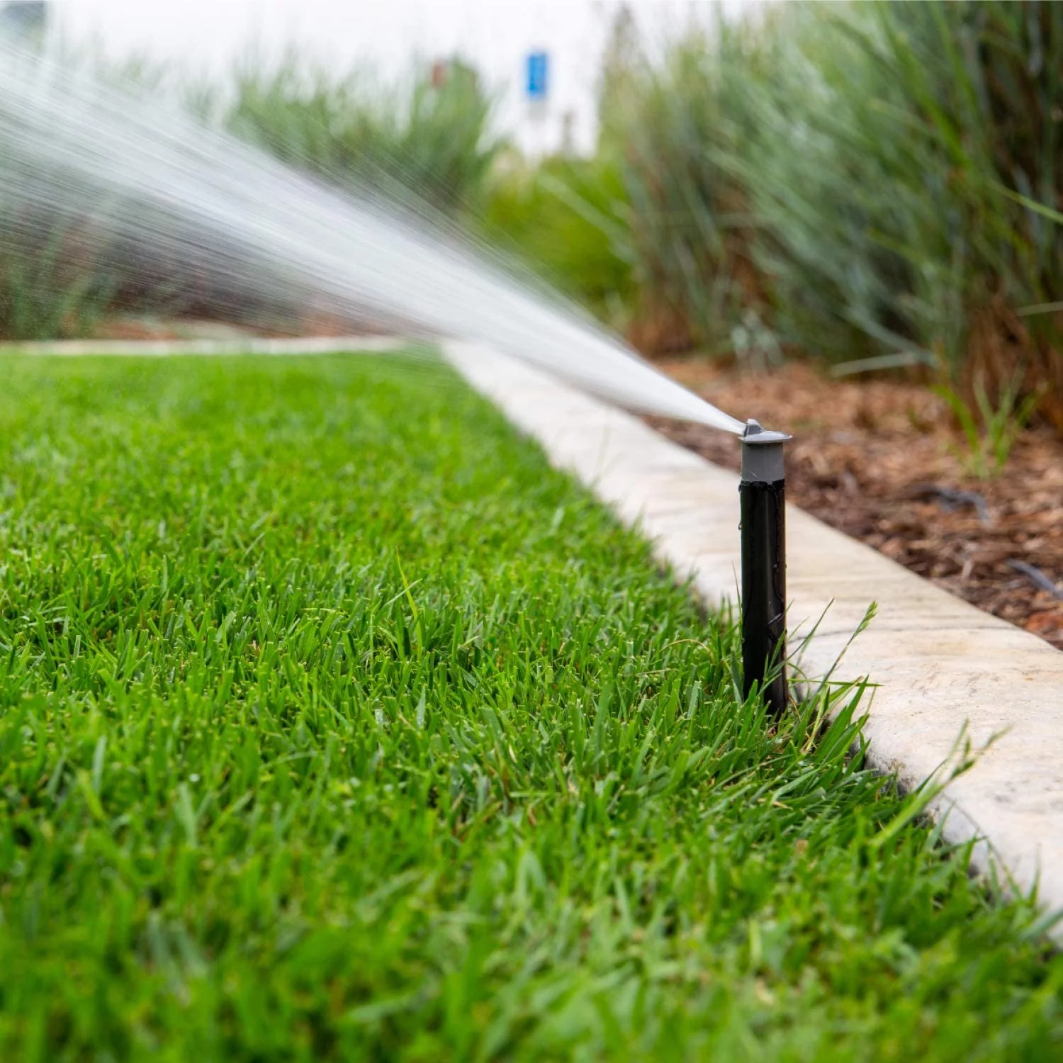 Hunter Pro-Spray PRS30 4 in. H Adjustable Pop-Up Spray Head