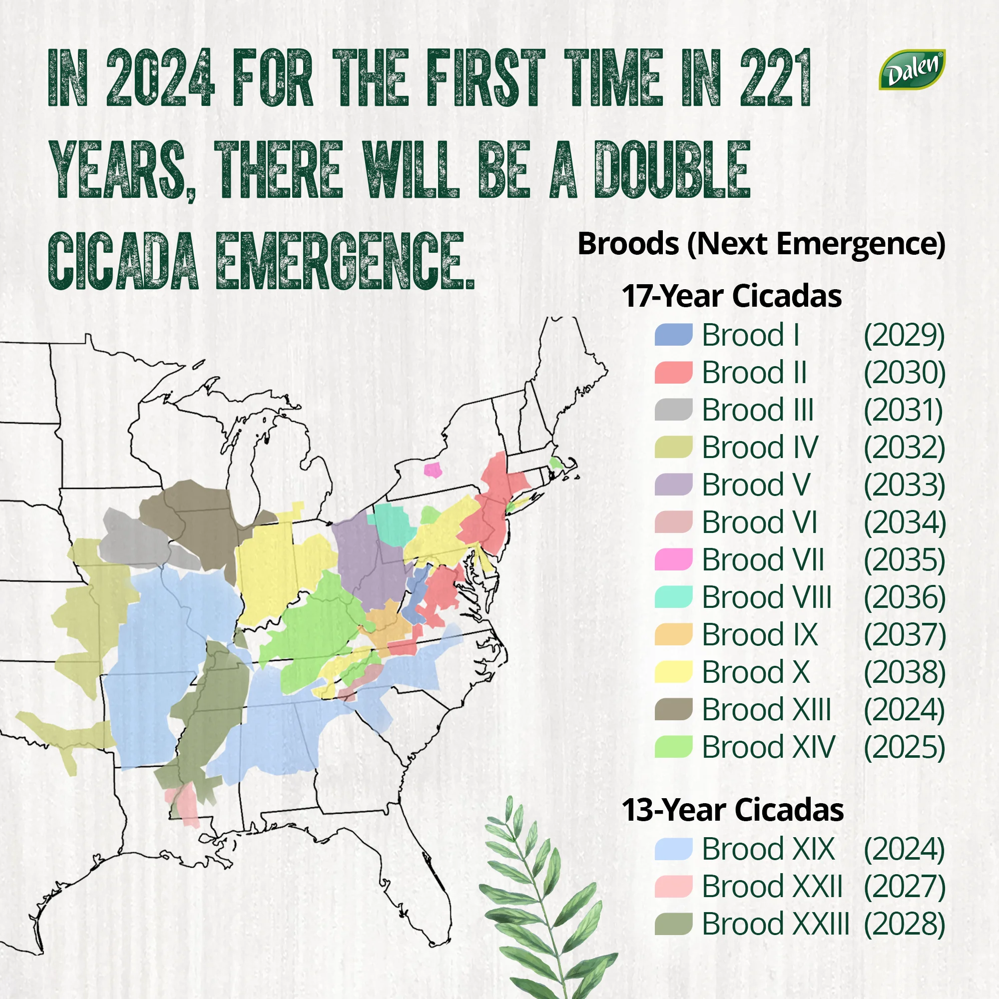 Dalen Cicada-X Tree & Shrub Protective Netting – Protect your garden and crops from predators and cicadas – Heavy Duty – UV Resistant – Easy DIY Installation – 3/8