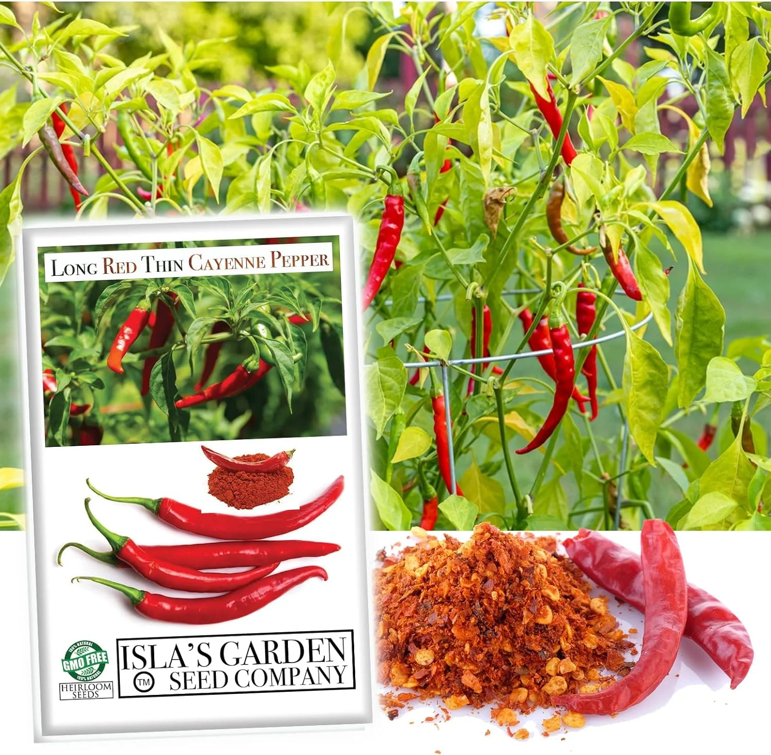 Cayenne Pepper Seeds, Long Red Thin Cayenne Peppers, 125+ Heirloom Seeds, Home Garden! - Non GMO, 90% Germination