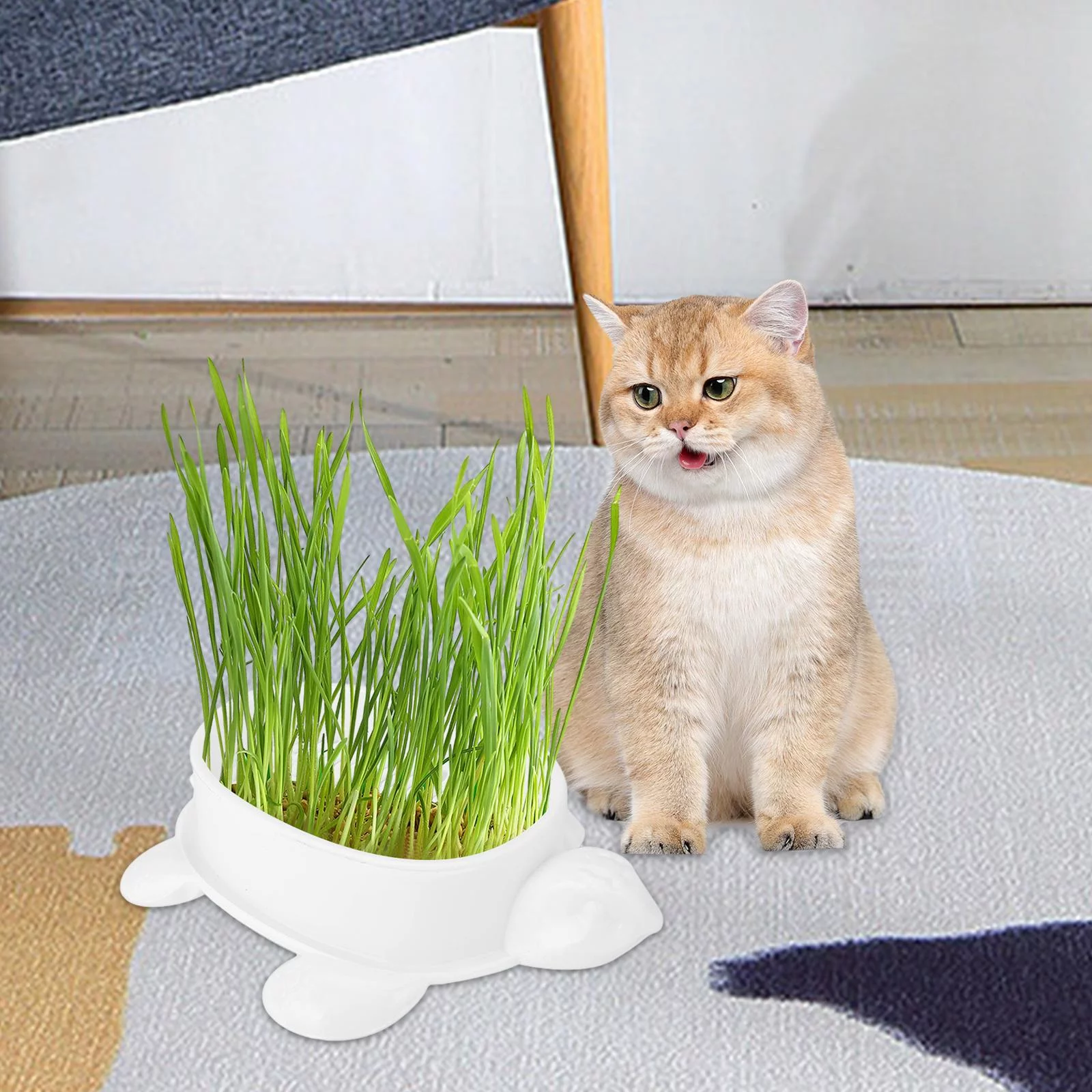 Cat Grass Box Cats Grass Basin Soil Free Wheatgrass Grower Seed Sprouter Tray White