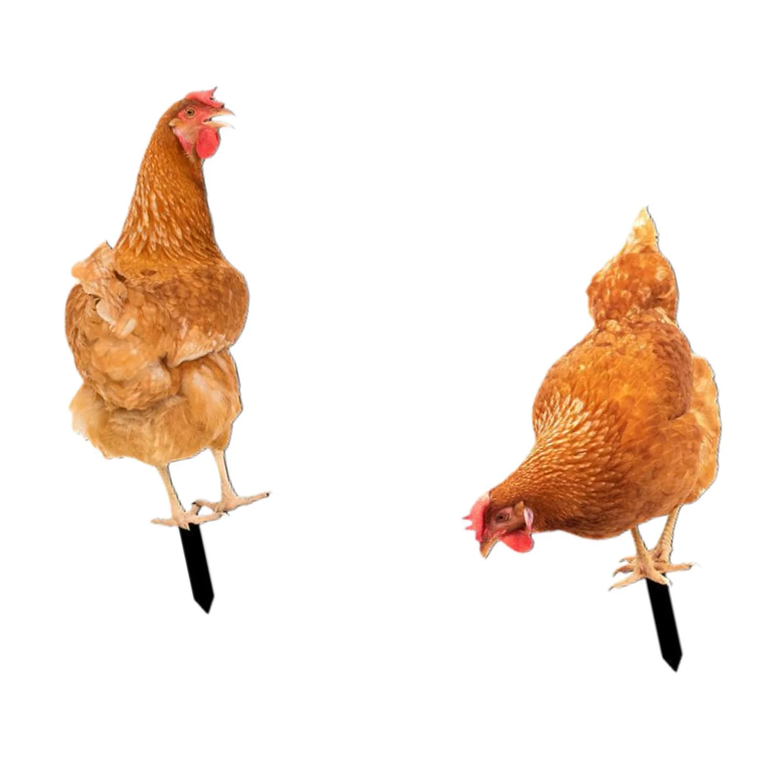 koolsoo 2 Pieces Chicken Animal Statue Stake Animal Statue Acrylic Sign Farm Animal Yard Stake for Lawn Backyard Pond Farm Decoration