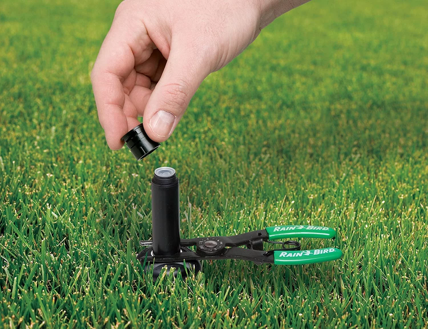 Rain Bird PTC1 Spray Head Pull-Up Tool for Pop-Up Sprinklers