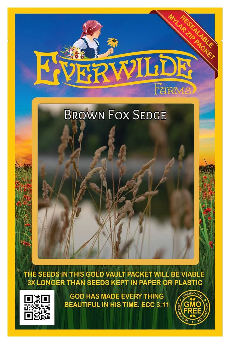 Everwilde Farms - 1000 Brown Fox Sedge Native Grass Seeds - Gold Vault Jumbo Bulk Seed Packet