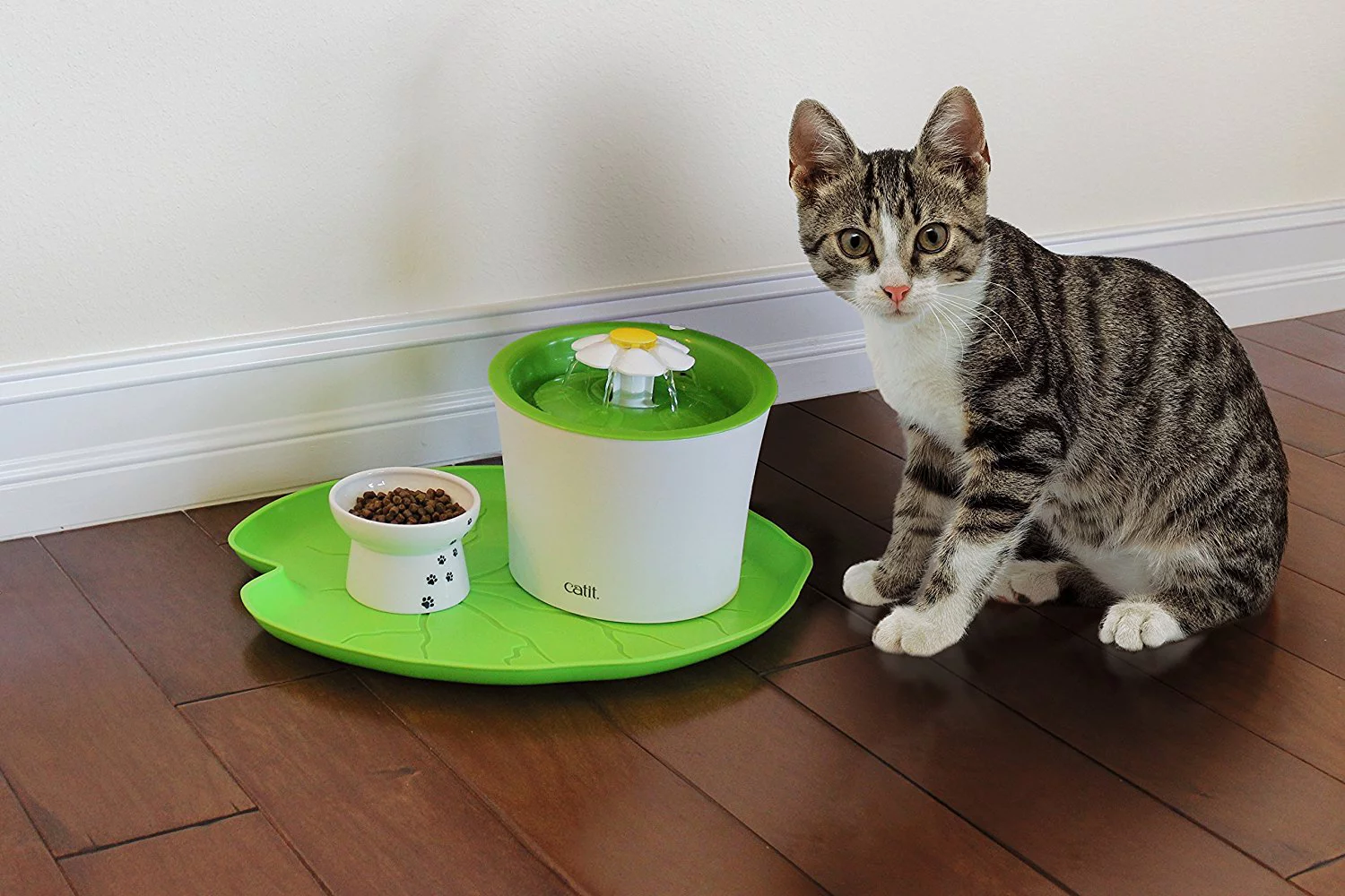 PetStandard Premium Pet Food Tray - Dog And Cat Food Mat With Green Leaf Design - Best For Catit And Drinkwell Fountains