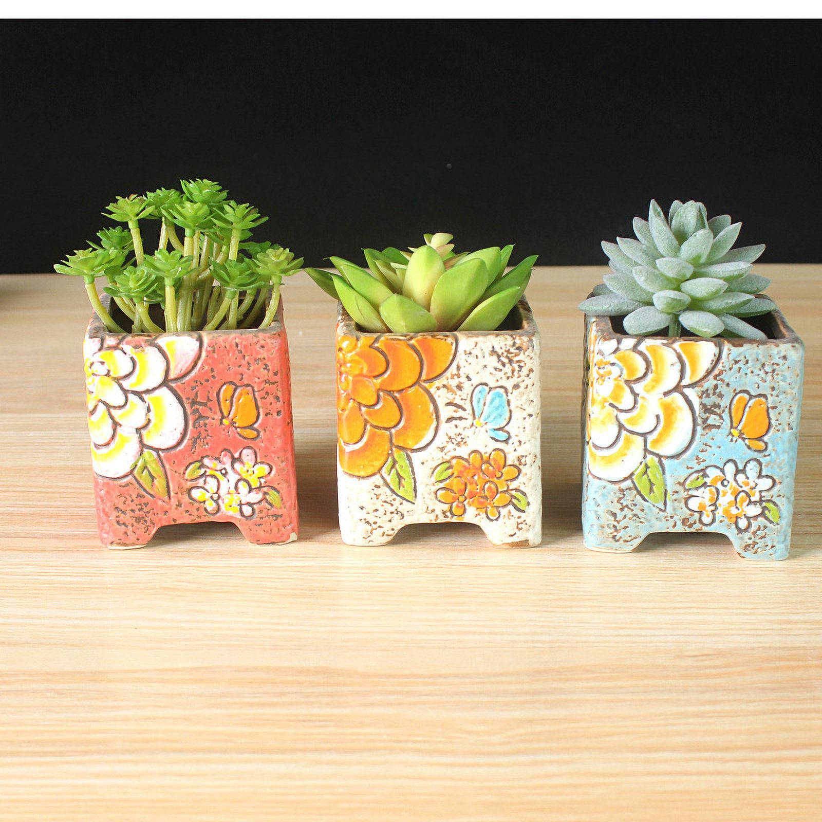 Hand-painted Ceramic Succulent Planter - Desktop Plant Pot