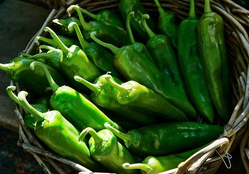 Clovers Garden Anaheim Pepper Plant- Two (2) Live Plants – Not Seeds – in 3.5 Inch Pots