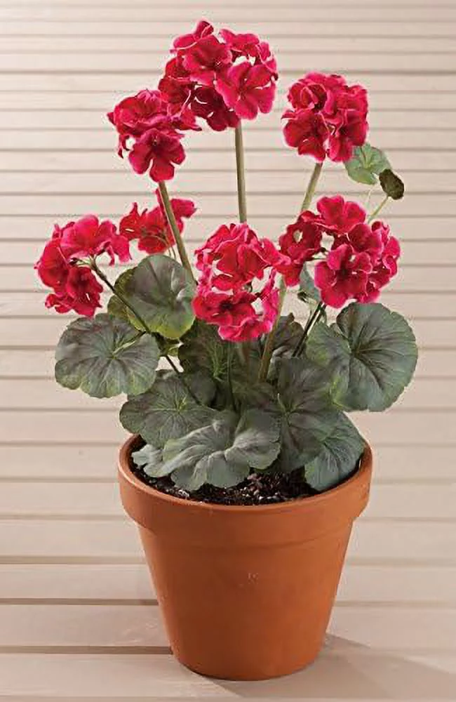 Silk Geranium Bush – Artificial Flowers Outdoor Décor – Raspberry, 19” Long