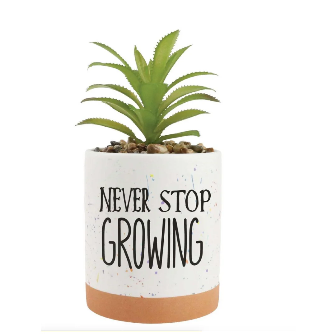 Our Name Is Mud Never Stop Growing Splatter Planter