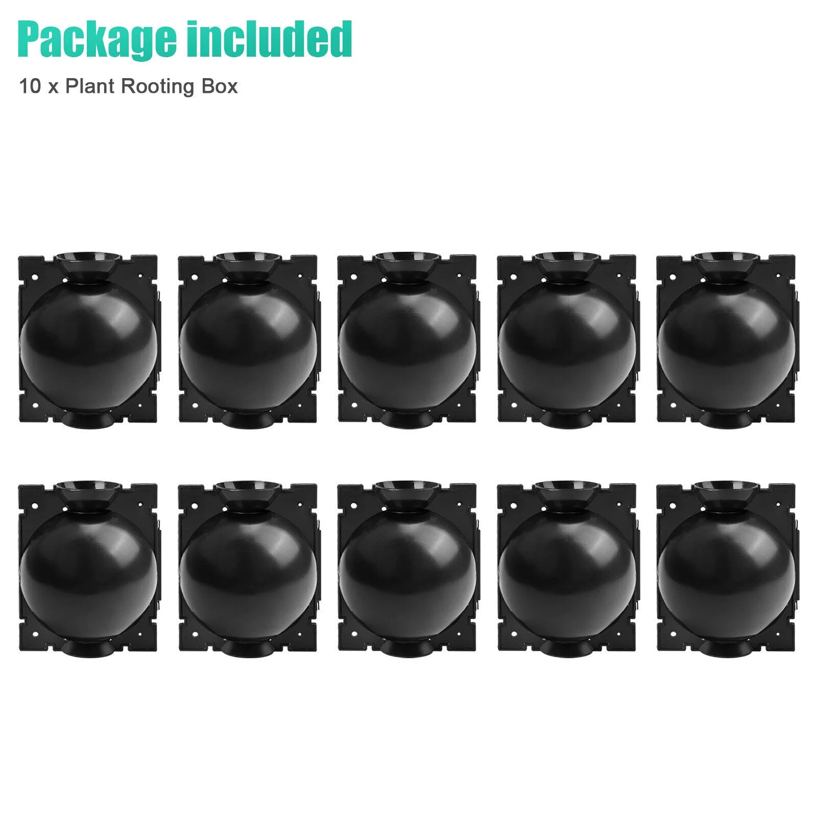 10/20PCS Plants Rooting Device High Pressure Propagation Ball Graft Growing Box