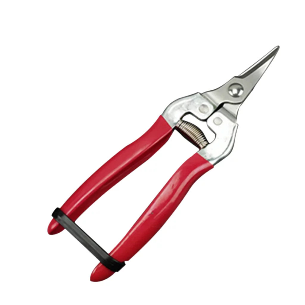 Straight & Curved Garden Pruning Shear Flower Trimming Picking Fruits