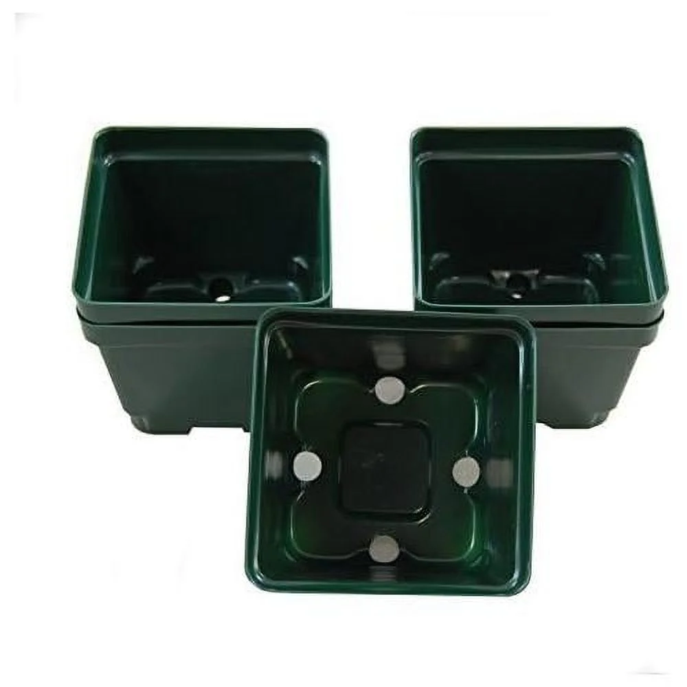 Greenhouse Pots - 4 Inch Square - 3 1/2 Inch Deep Pots - Green - Plastic - 50 Pack By Growers