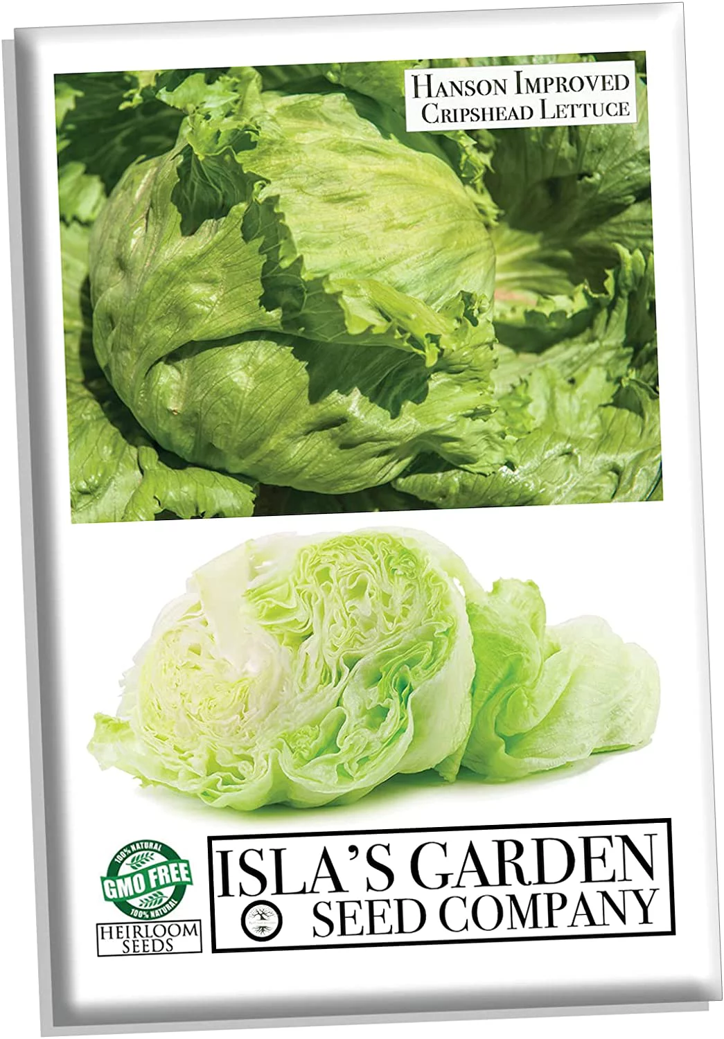 Hanson Improved Crisphead Lettuce Seeds, 1000 Heirloom Seeds Per Packet, Non GMO Seeds