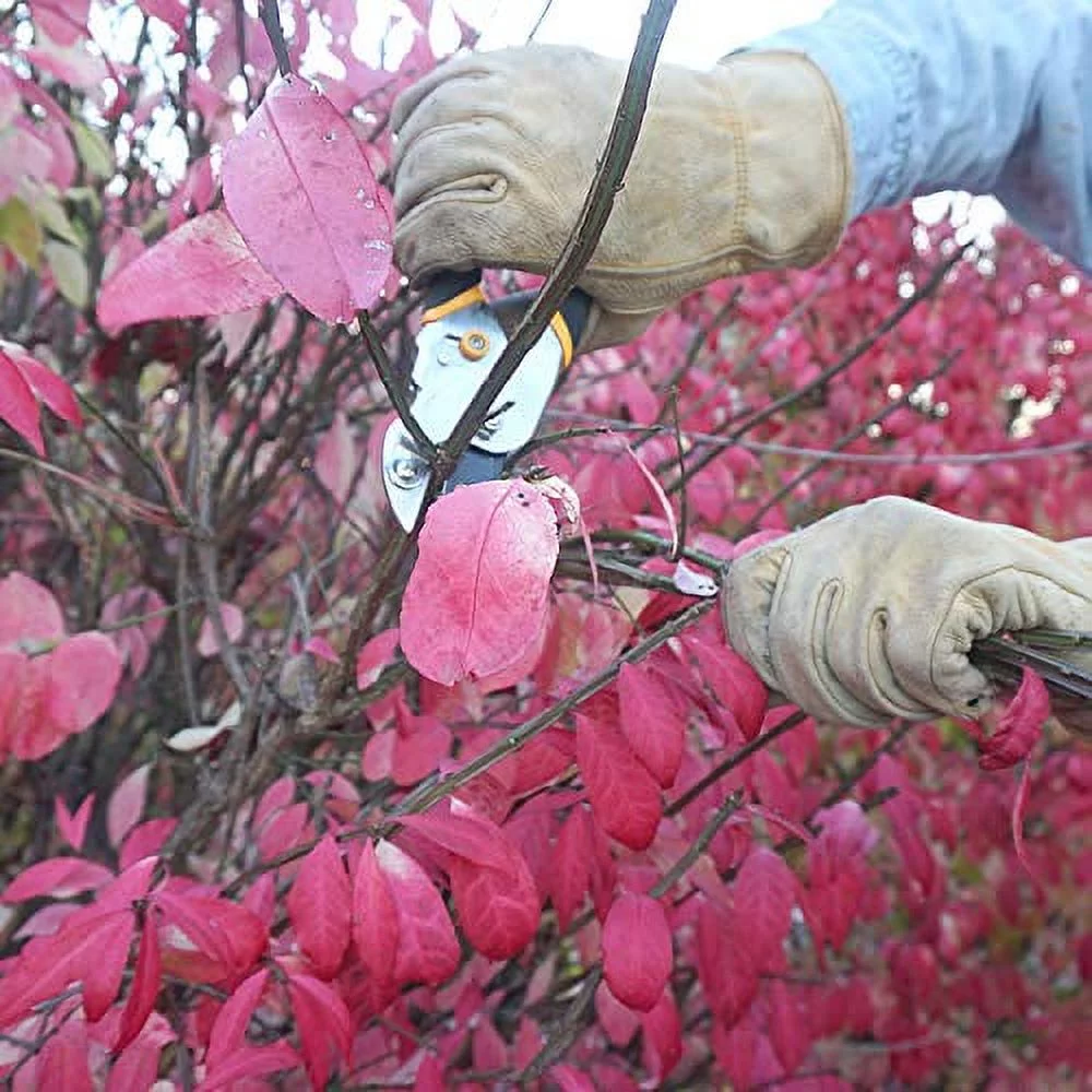 193  Steel Blade Anvil Pruner, Non-Stick Rust-Resistant Coating Blade