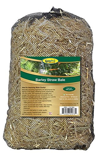EBS1 Barley Straw Bale For Ponds And Waterfalls - Keeps Water Clean And Clear - Reduces Pond Maintenance -1 Lb. Bale Treats 1000 Gallons - Safe For Aquatic Life And Pets