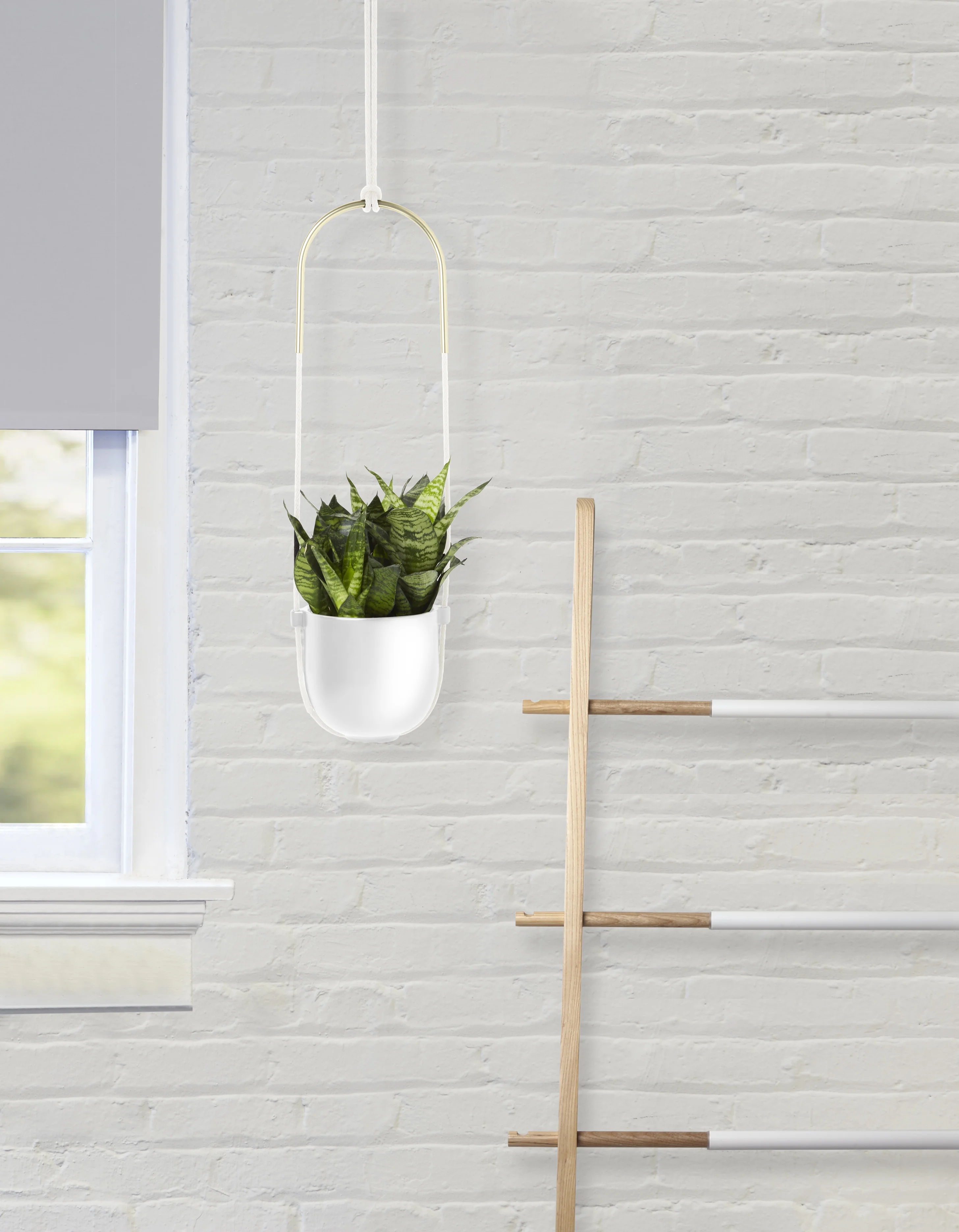 Umbra Bolo Ceramic Hanging Wall Planter White
