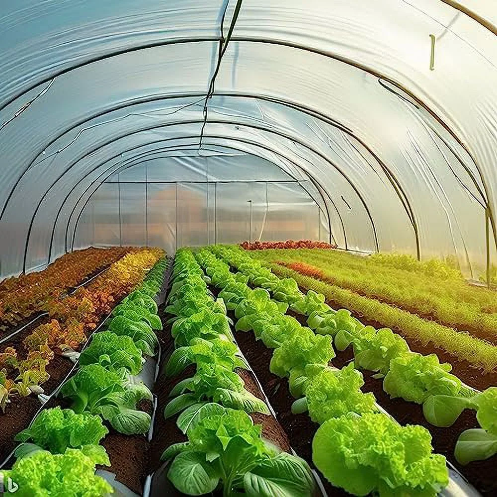 Greenhouse Plastic Film Clear Polyethylene 6 mil 4 Year UV Resistant Cover (8 ft Wide x 25 ft Long)