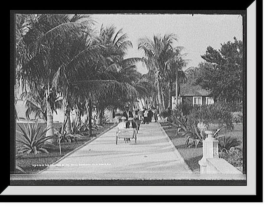 Historic Framed Print, The Grounds of the [Hotel] Royal Poinciana, Palm Beach, Fla., 17-7/8