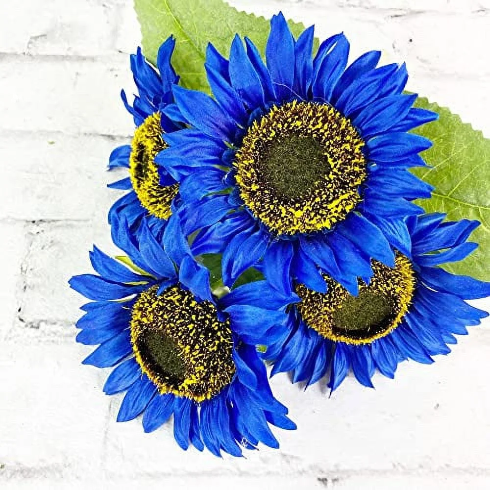 QAUZUY GARDEN 40 Rare Blue Sunflower Seeds (Helianthus Annuus), Attract Pollinators, Rare Striking Showy Exotic Flower for Home Garden Office Yard Decor