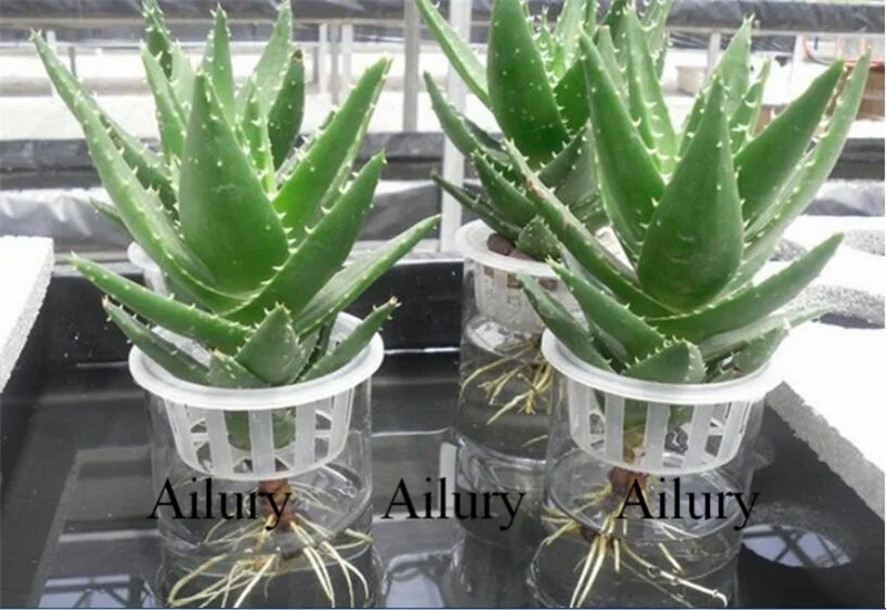 PP Hydroponics Plants Dedicated Solid Root Colonization Basket Vase  Cup Water Garden Aquarium Container