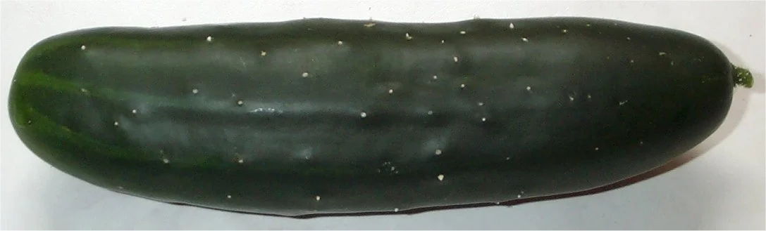 Cucumber Marketmore 76 Great Heirloom Vegetable Seeds By Seed Kingdom 150 Seeds