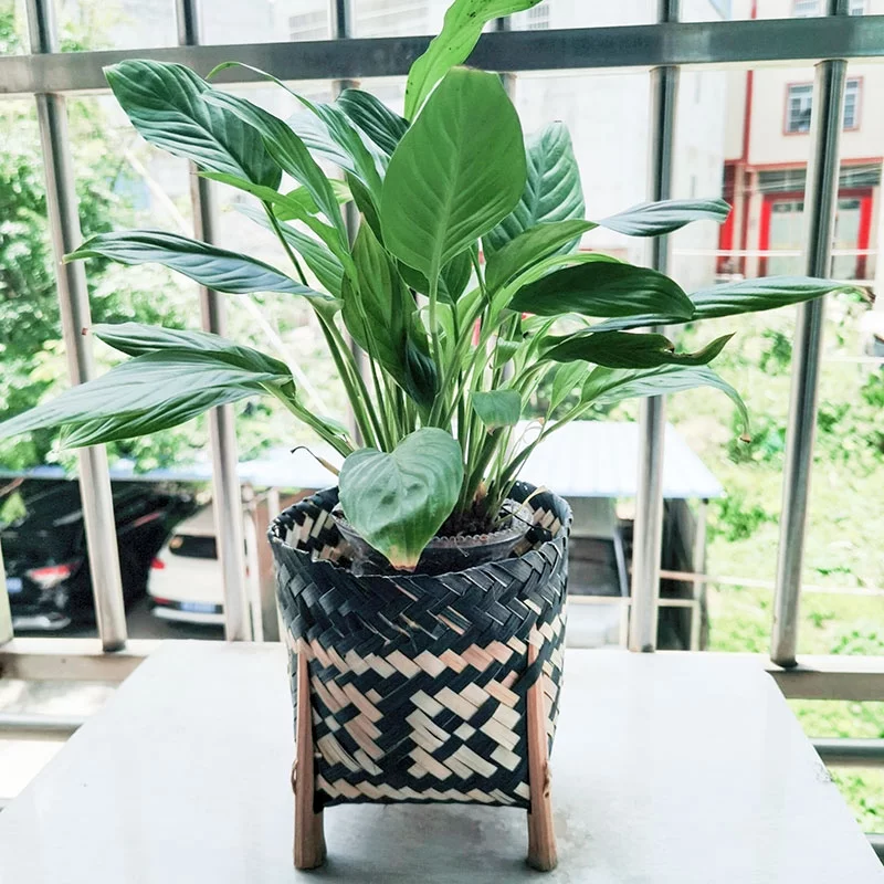 Tiabiaya Hand-Woven Straw Flower Basket Household  Basket Vase Japanese-Style Dried Barley Flower Vase W/ Tripods