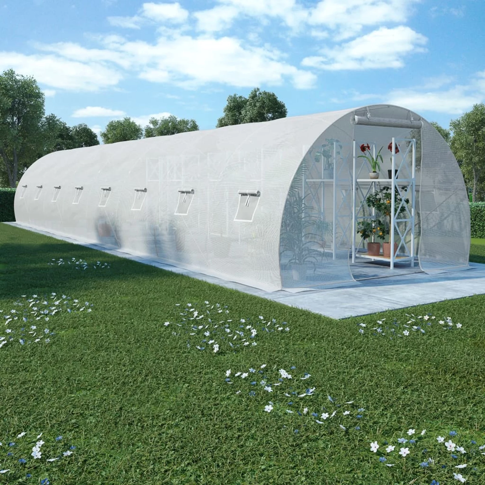 Dcenta Greenhouse 387.5ft² 472.4