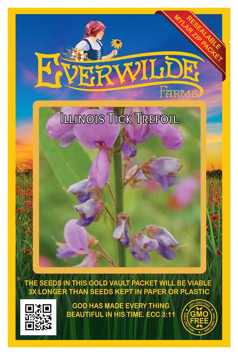 Everwilde Farms - 100 Illinois Tick Trefoil Native Wildflower Seeds - Gold Vault Jumbo Bulk Seed Packet