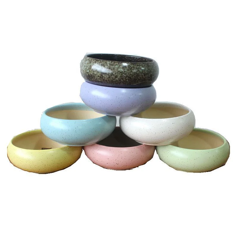 LivNxt Ceramic Succulent Planter - Large Succulent Tray for Tabletop Gardening