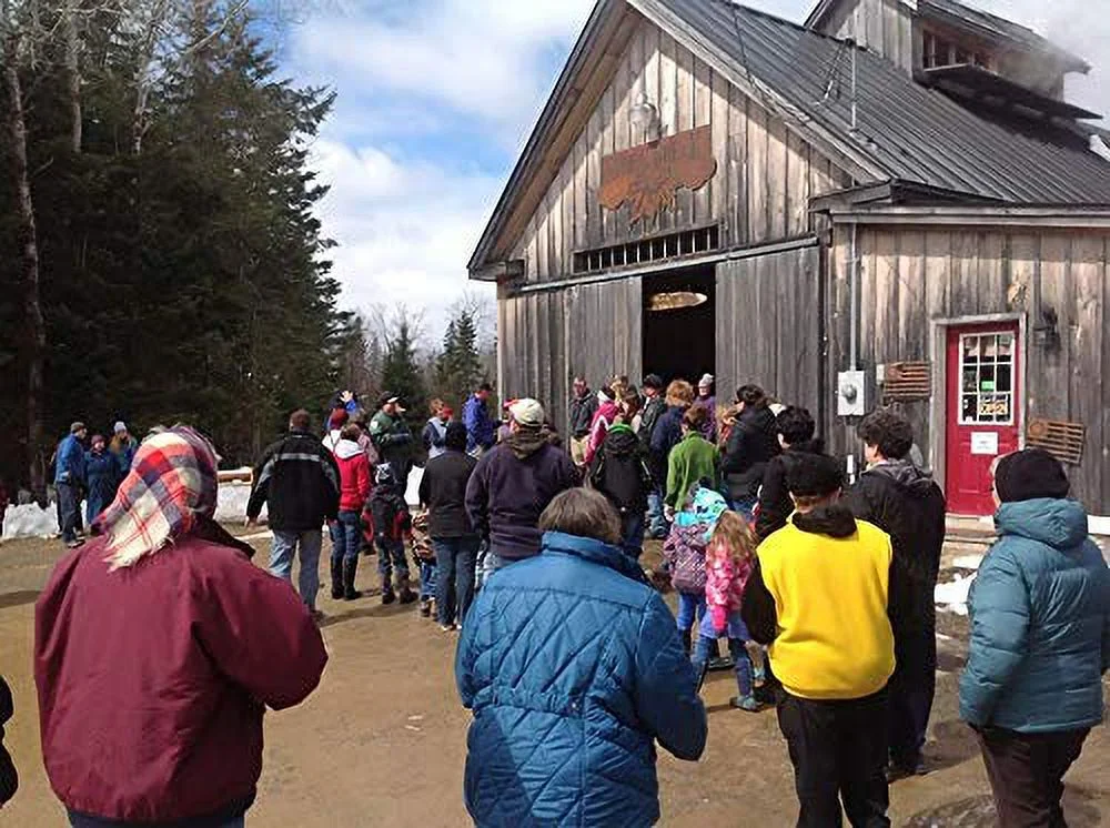 Spring Break Pure Maine Maple Syrup 32 oz. Medium Amber