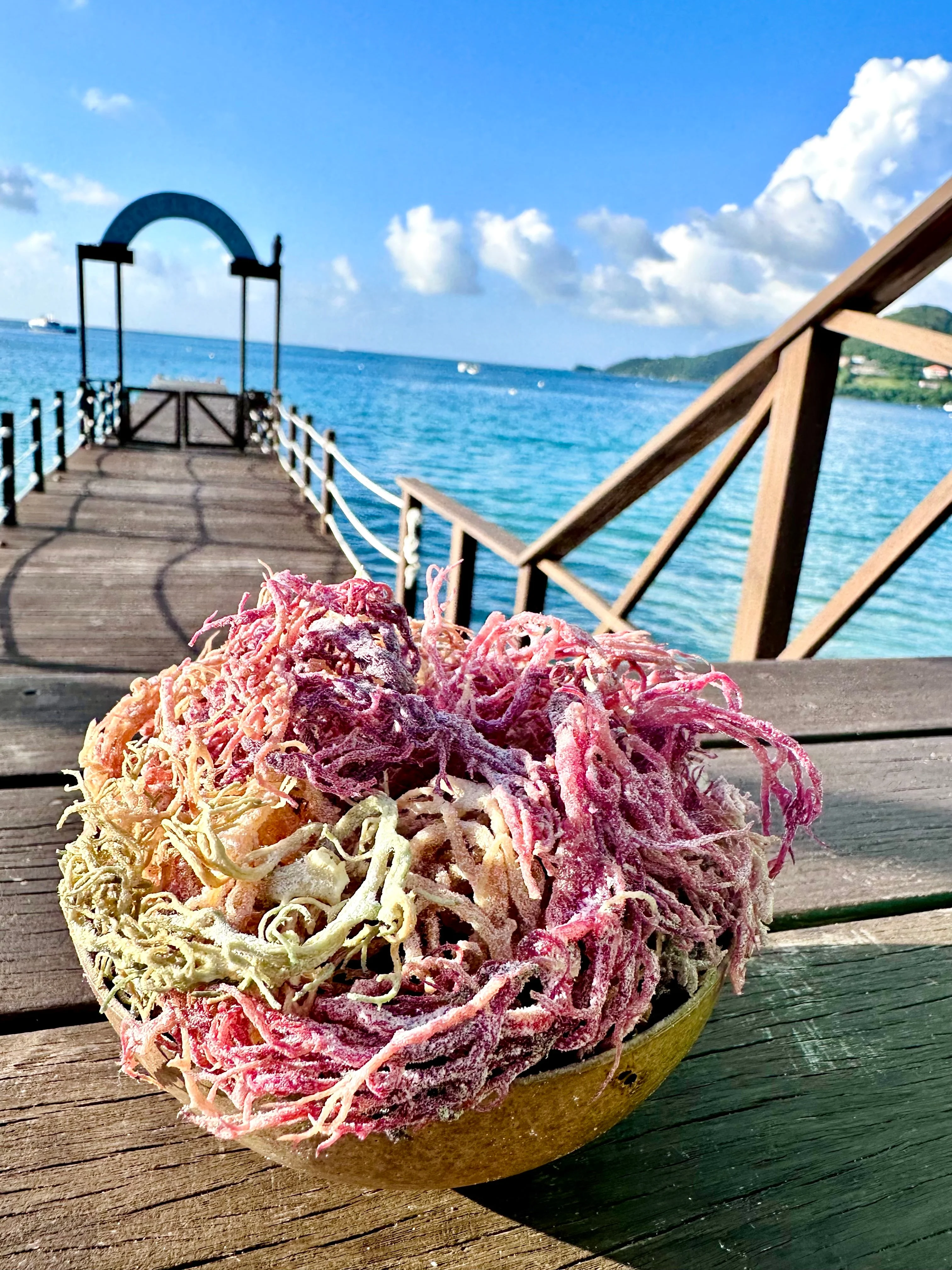 Full Spectrum Sea Moss