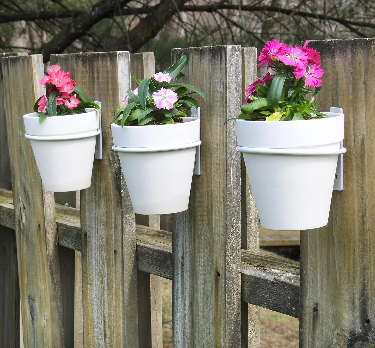 Metal Wall Ring Planters (4-Inch, White); Wall-Mounted Garden Holders